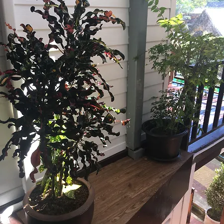 Coco's Guest House-2